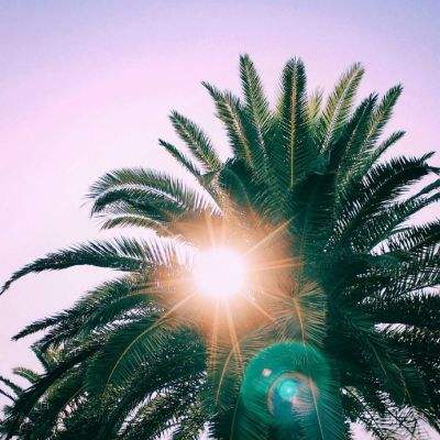 超140万亿!词元调用量激增 算力租赁进入“卖方市场”(附股)