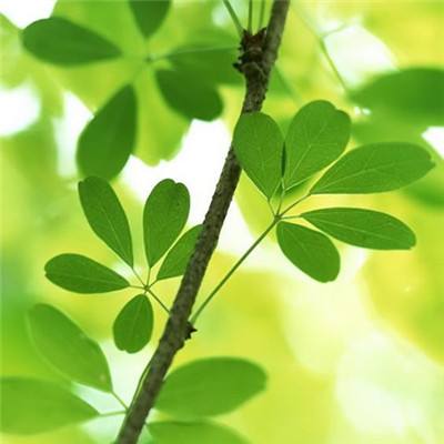 水润初心,向光而行:让女性力量...