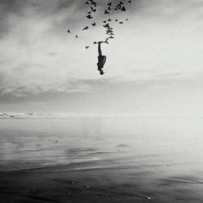 蓝鲸体育app苹果版