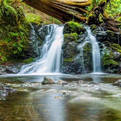 日本被曝多年搞反华教育