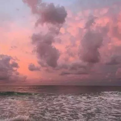 《癌症生态学与进化》出版