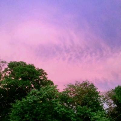 欧博体育娱乐APP/手机APP下载