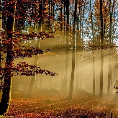 工人用37个桶自制“垃圾下楼”神器