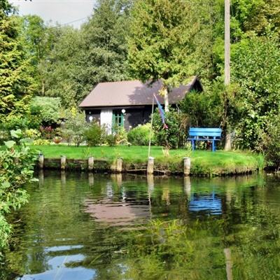 蓝鲸体育app v{randstr type=