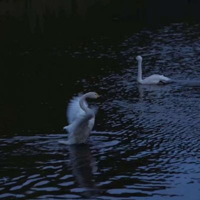 意大利总理梅洛尼要求旅游部长辞职。