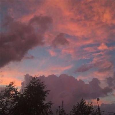 阿联酋：将霍尔木兹海峡武器化是对世界的经济恐怖主义