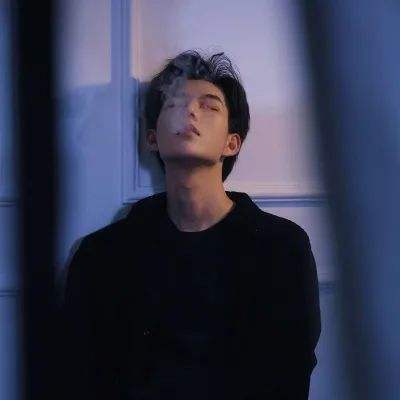 皮尔磁：轻松实现光栅屏蔽功能的...