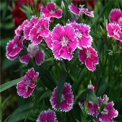 金融圈噩耗!国通信托党委书记、董事长汤建,不幸去世