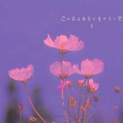 纸包装巨头大胜达跨界GPU5.5亿元收购负资产企业 二代产品算力接近九年前入门级显卡