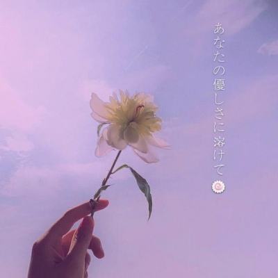 保险资金 未受短期情绪扰动 整体仓位变化不大