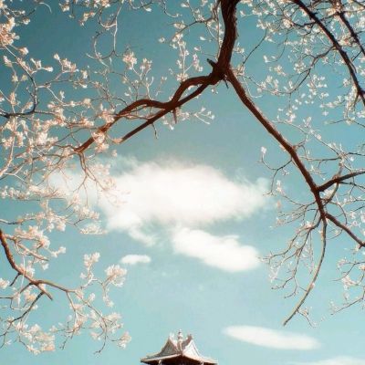 蓝鲸体育app正式版