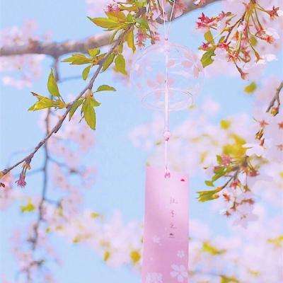 最爱发钱老板带4千多名员工父母旅游