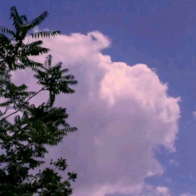 广东粤海饲料集团股份有限公司关于控股股东部分股份解除质押的公告