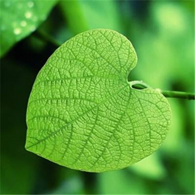 亚马逊称 AWS 的巴林地区在无人机活动后“受到干扰”