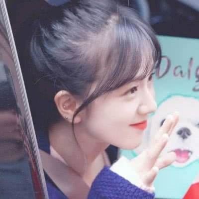 欧洲空气污染危机持续，尽管排放方面取得进展